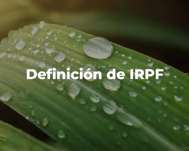 Definición de IRPF