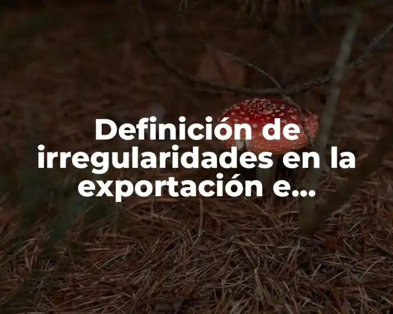 Definición de irregularidades en la exportación e importación de mercancías
