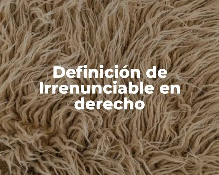 Definición de Irrenunciable en derecho