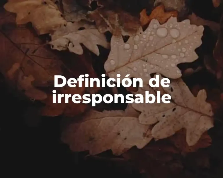Definición de irresponsable