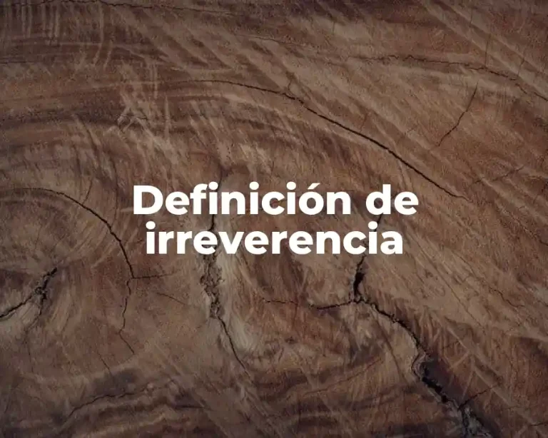 Definición de irreverencia