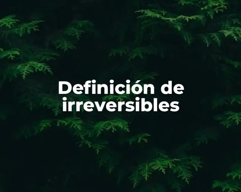 Definición de irreversibles