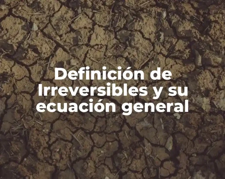 Definición de Irreversibles y su ecuación general
