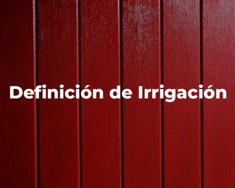 Definición de Irrigación
