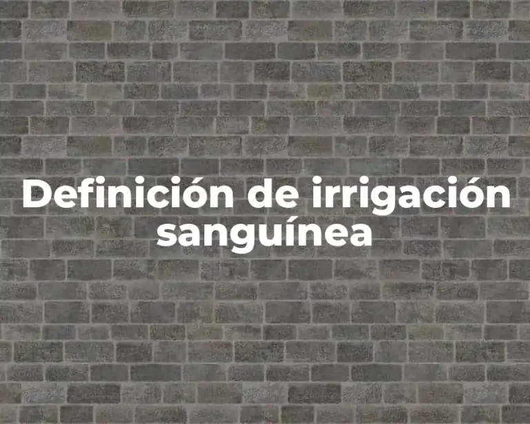 Definición de irrigación sanguínea