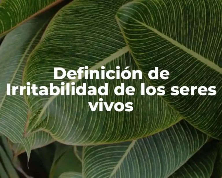 Definición de Irritabilidad de los seres vivos