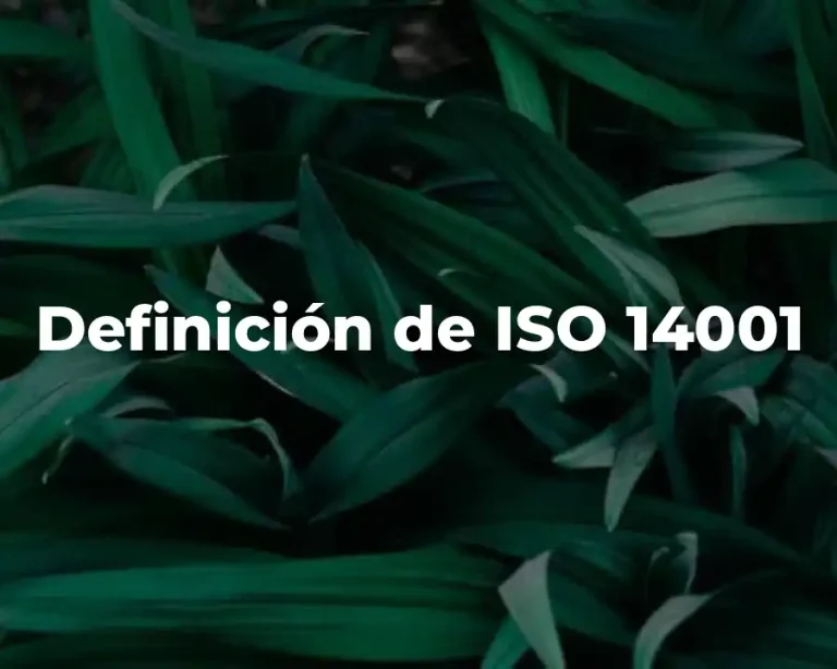 Definición de ISO 14001