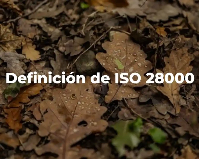 Definición de ISO 28000
