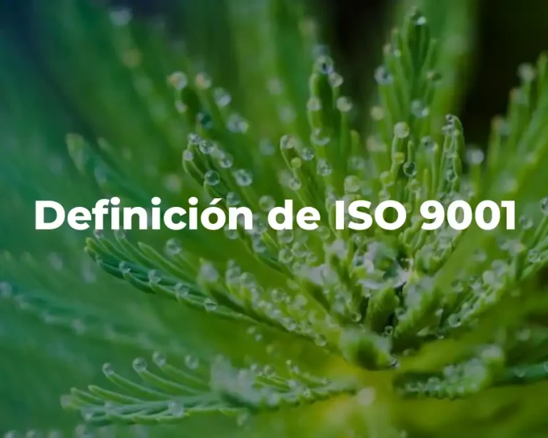 Definición de ISO 9001