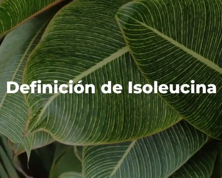 Definición de Isoleucina