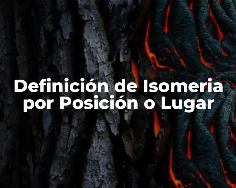 Definición de Isomeria por Posición o Lugar