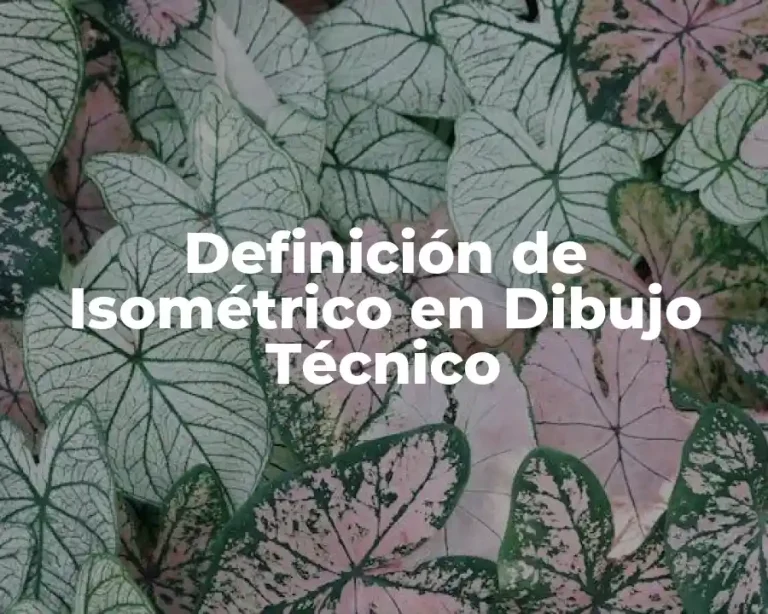 Definición de Isométrico en Dibujo Técnico