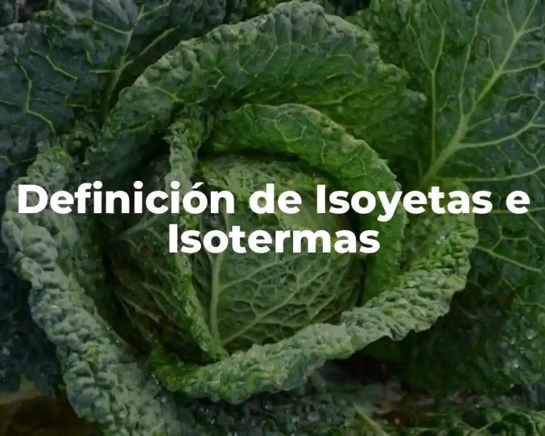 Definición de Isoyetas e Isotermas