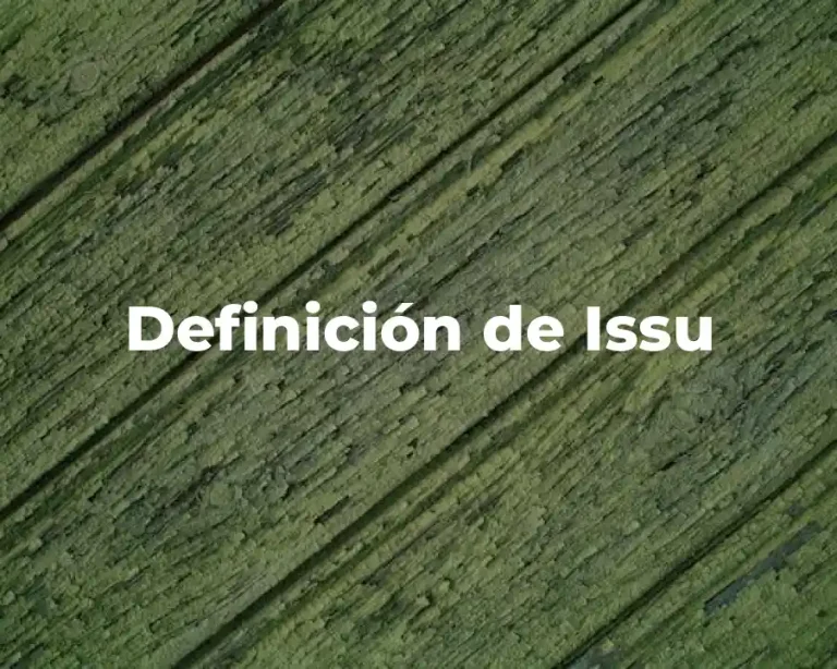 Definición de Issu