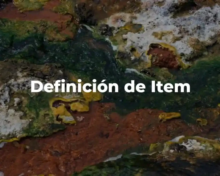 Definición de Item