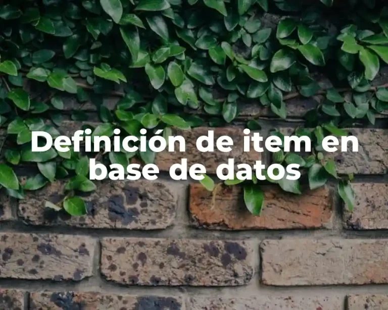 Definición de item en base de datos