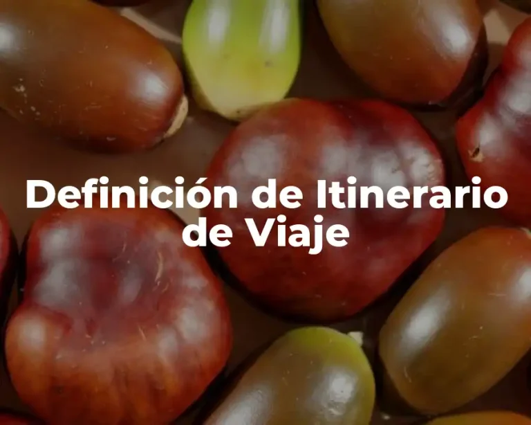 Definición de Itinerario de Viaje