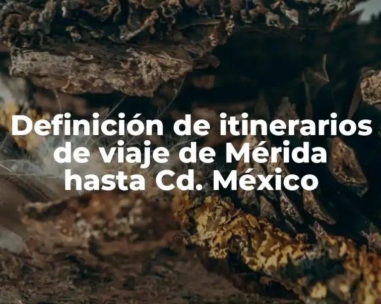 Definición de itinerarios de viaje de Mérida hasta Cd. México