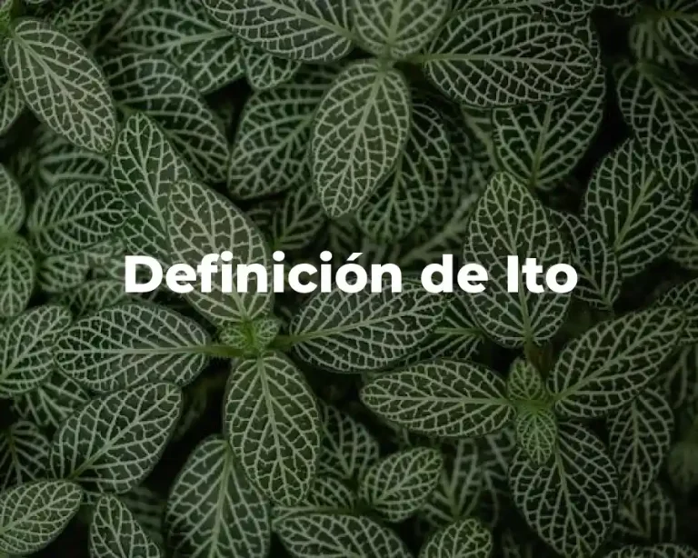 Definición de Ito
