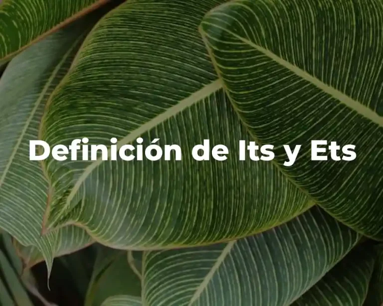 Definición de Its y Ets