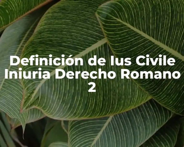 Definición de Ius Civile Iniuria Derecho Romano 2