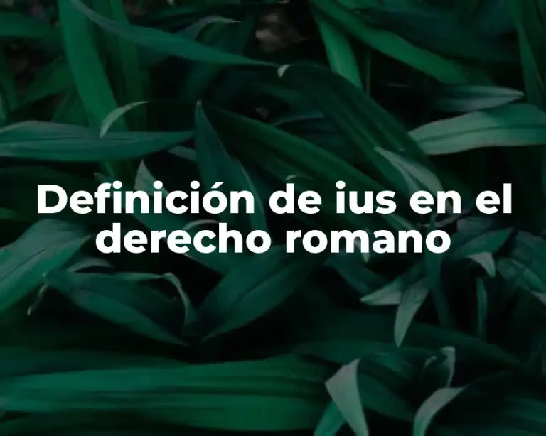Definición de ius en el derecho romano