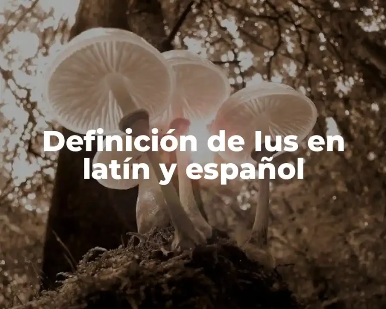 Definición de Ius en latín y español