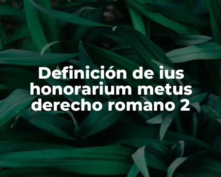 Definición de ius honorarium metus derecho romano 2