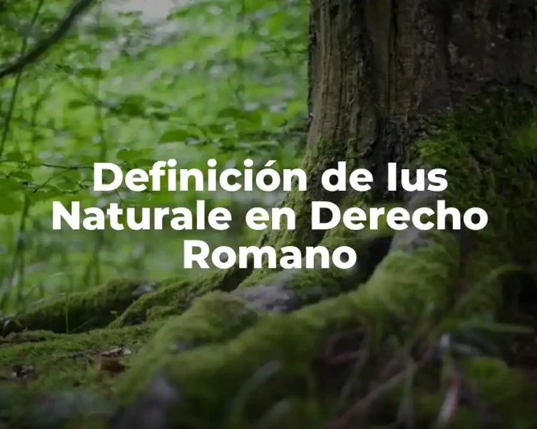 Definición de Ius Naturale en Derecho Romano