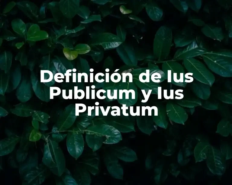 Definición de Ius Publicum y Ius Privatum