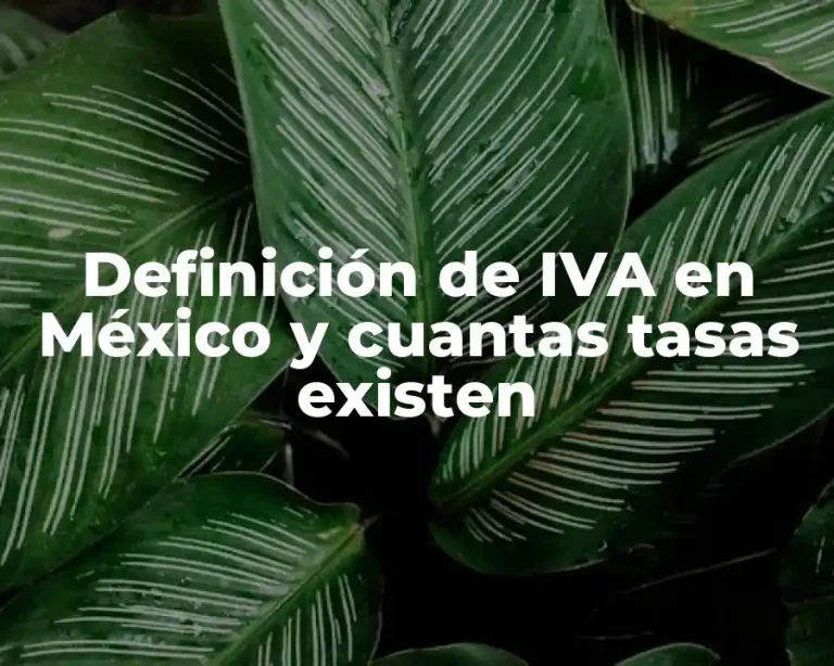 Definición de IVA en México y cuantas tasas existen