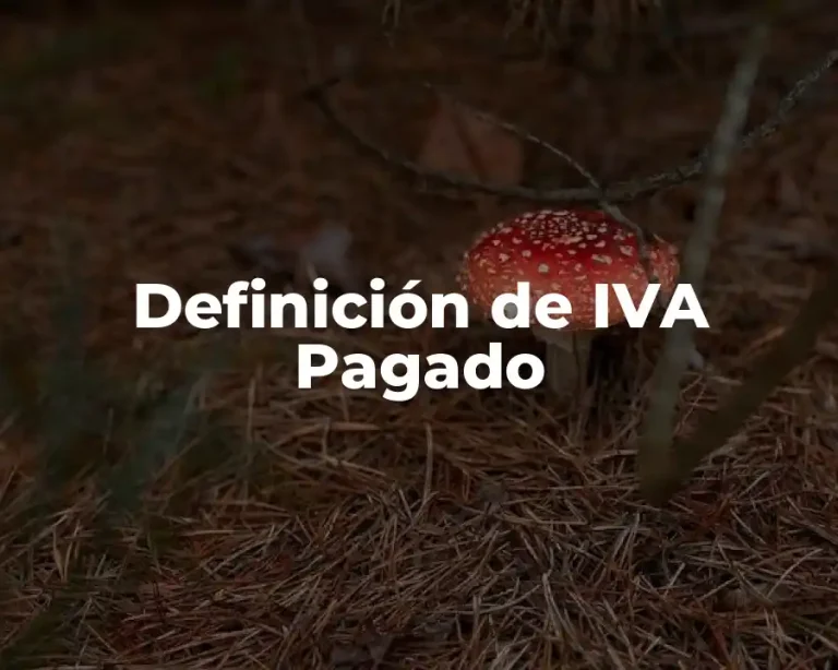 Definición de IVA Pagado