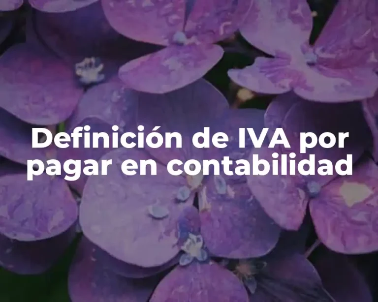 Definición de IVA por pagar en contabilidad