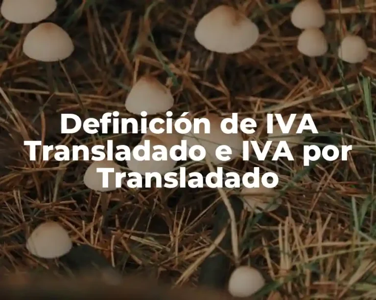 Definición de IVA Transladado e IVA por Transladado