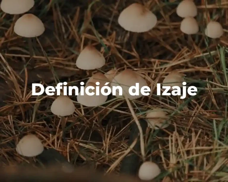 Definición de Izaje