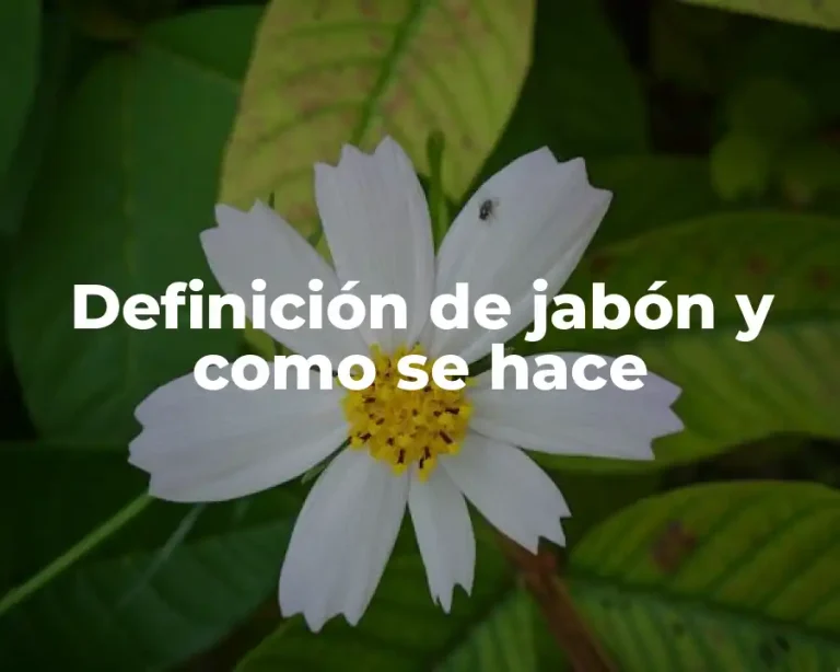 Definición de jabón y como se hace