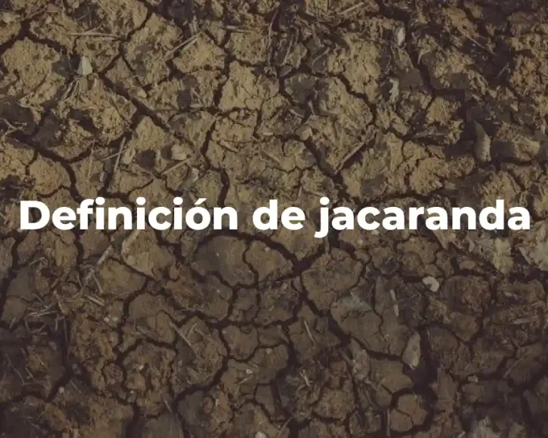 Definición de jacaranda