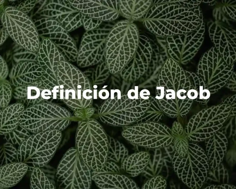 Definición de Jacob