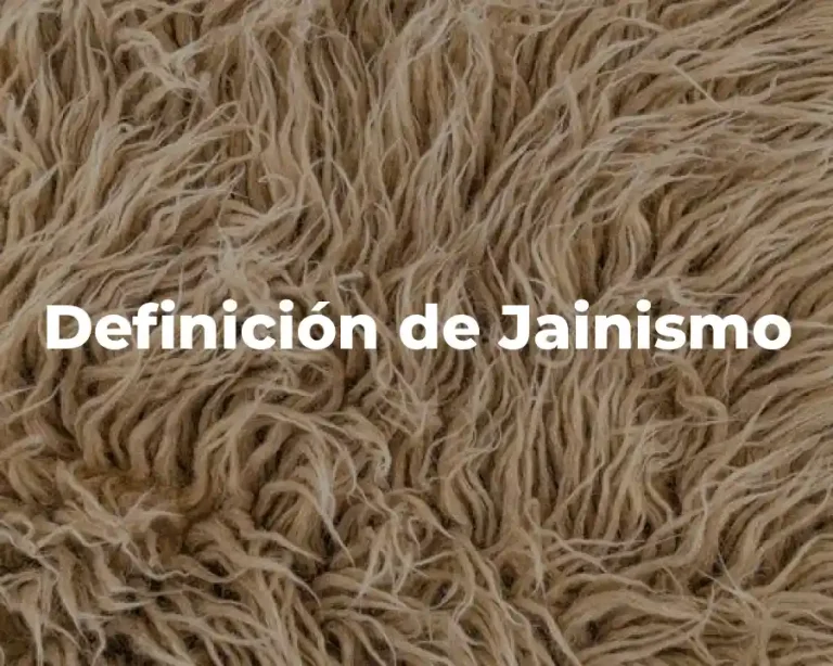 Definición de Jainismo