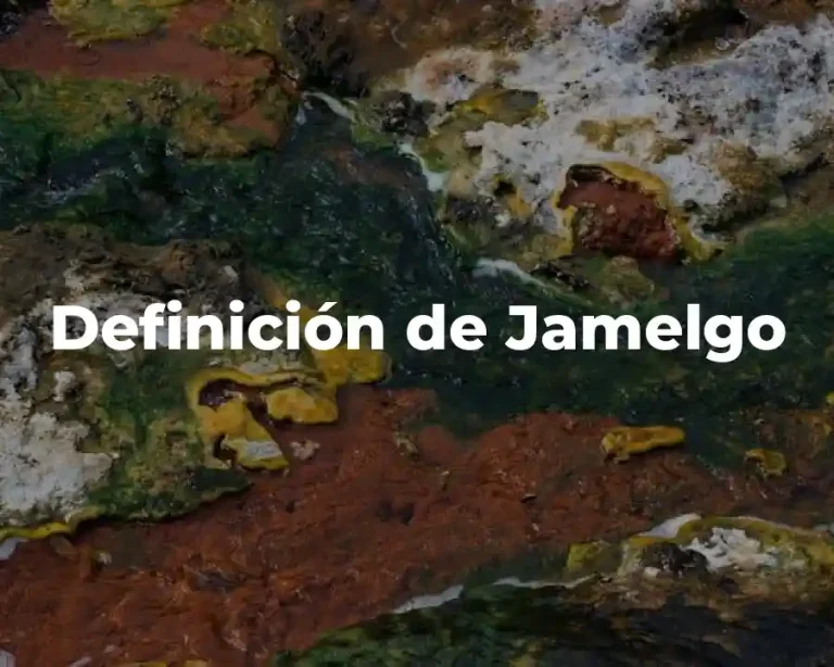Definición de Jamelgo