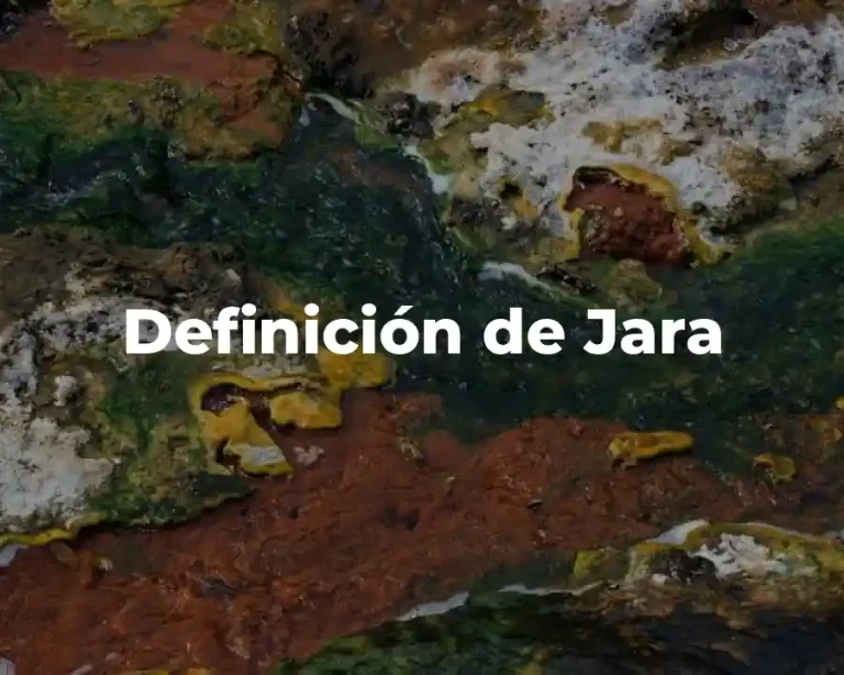 Definición de Jara