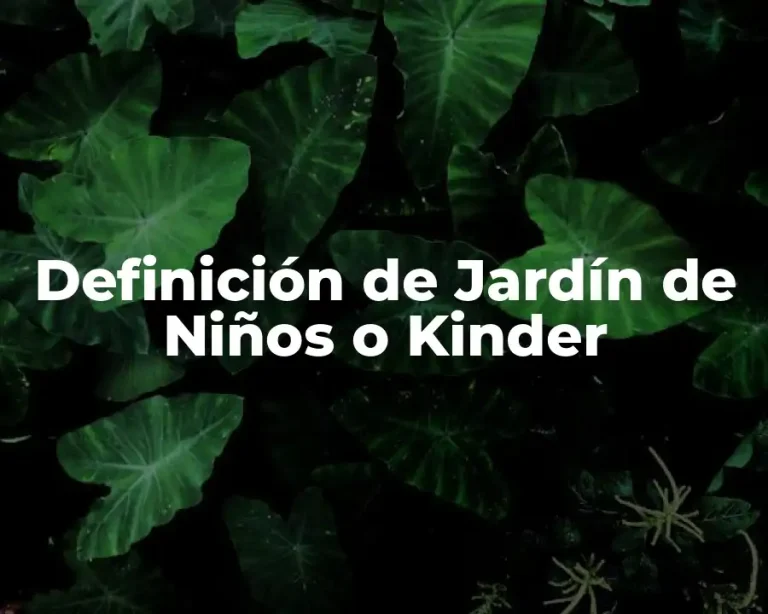Definición de Jardín de Niños o Kinder