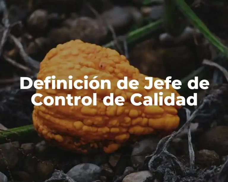 Definición de Jefe de Control de Calidad