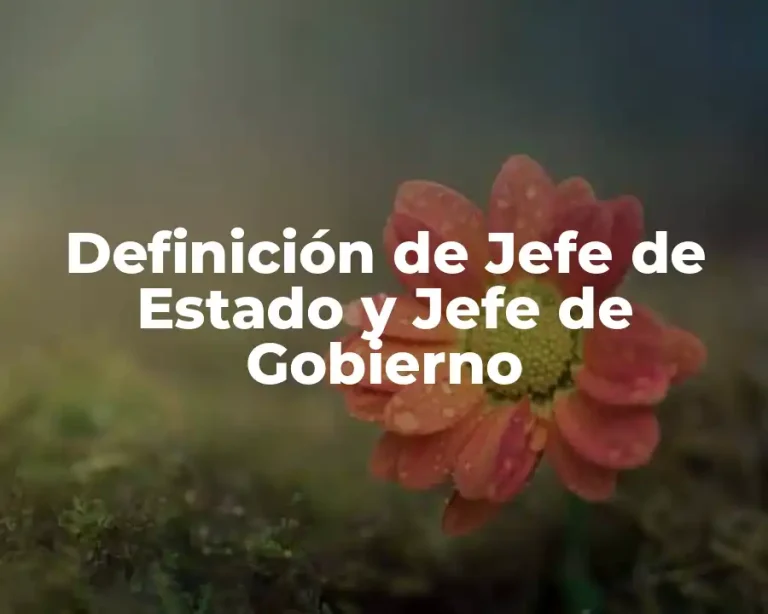 Definición de Jefe de Estado y Jefe de Gobierno
