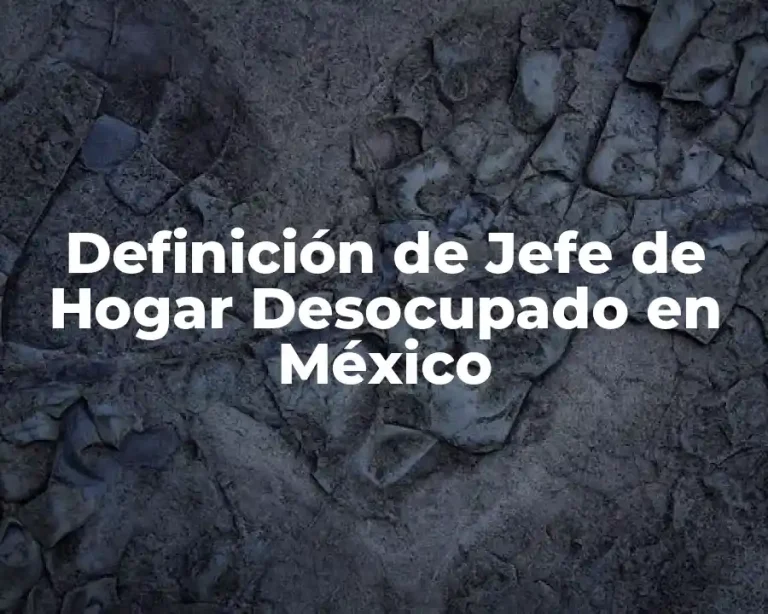 Definición de Jefe de Hogar Desocupado en México