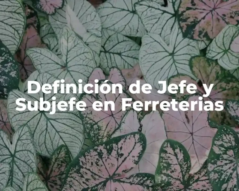 Definición de Jefe y Subjefe en Ferreterias