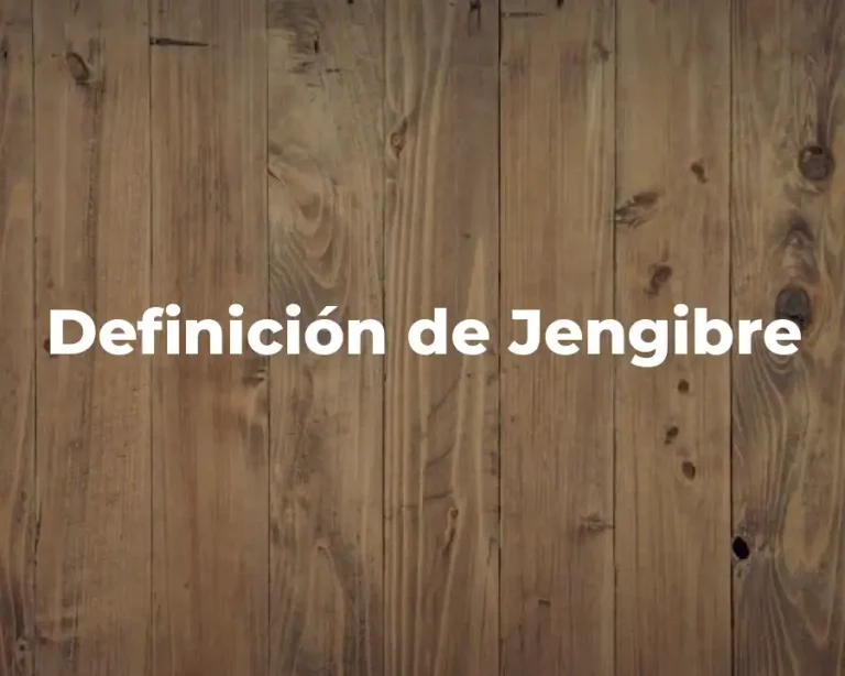 Definición de Jengibre