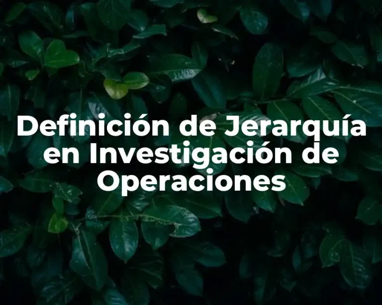 Definición de Jerarquía en Investigación de Operaciones