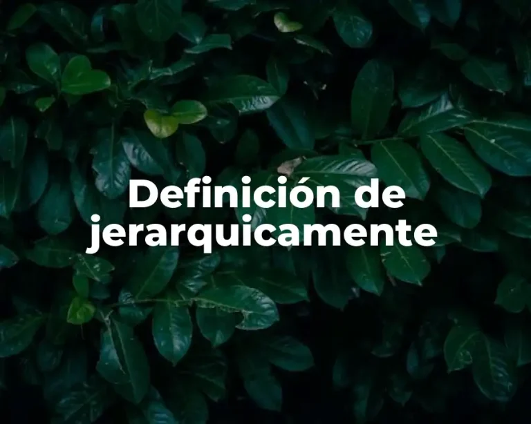 Definición de jerarquicamente