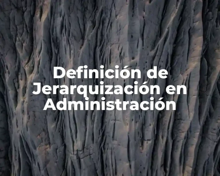 Definición de Jerarquización en Administración